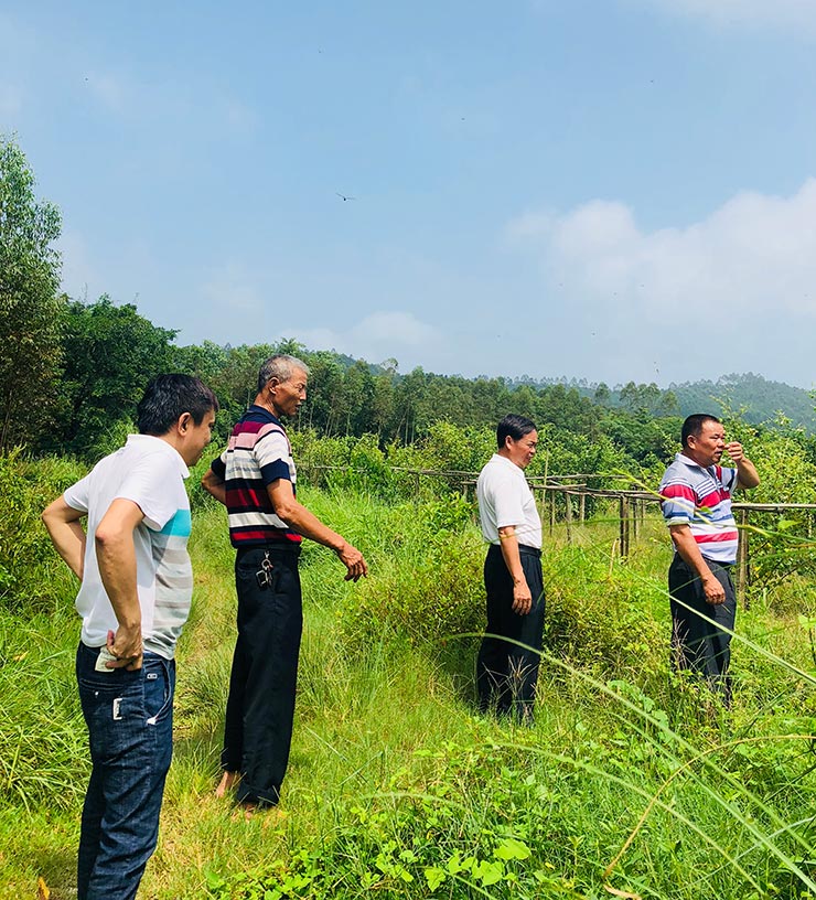 壹定发·(EDF)最新官方网站