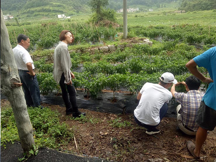 壹定发·(EDF)最新官方网站