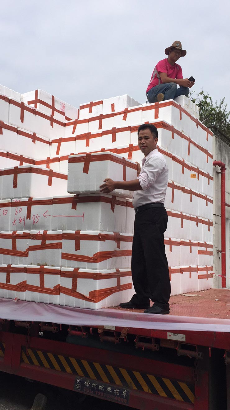 壹定发·(EDF)最新官方网站