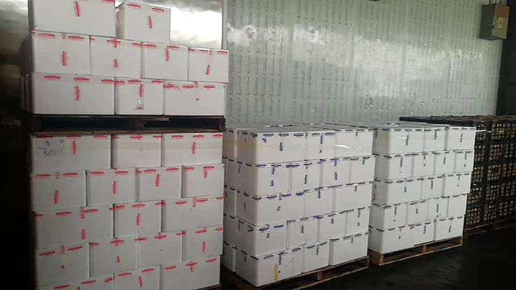 壹定发·(EDF)最新官方网站