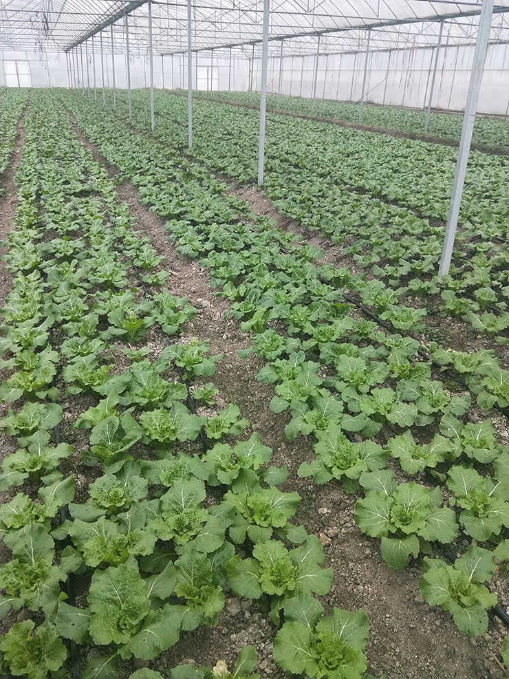 壹定发·(EDF)最新官方网站