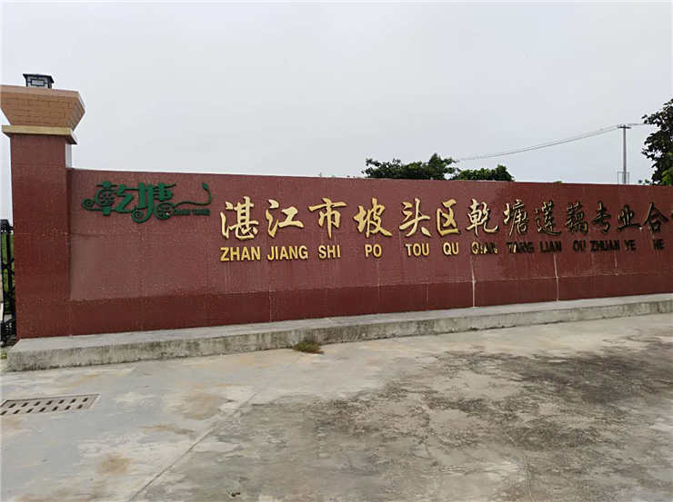 壹定发·(EDF)最新官方网站