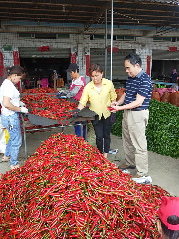 壹定发·(EDF)最新官方网站