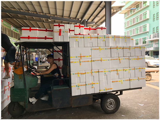 壹定发·(EDF)最新官方网站