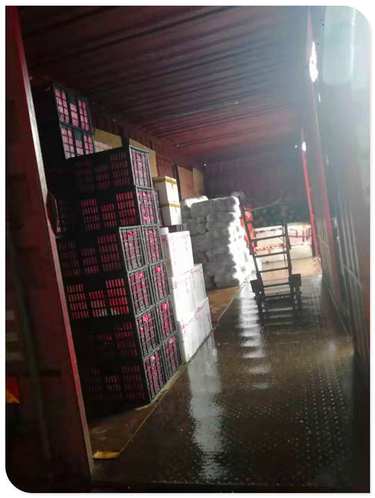 壹定发·(EDF)最新官方网站