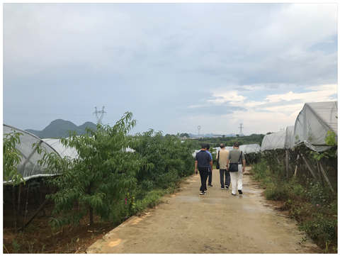 壹定发·(EDF)最新官方网站