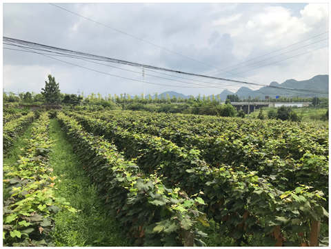 壹定发·(EDF)最新官方网站