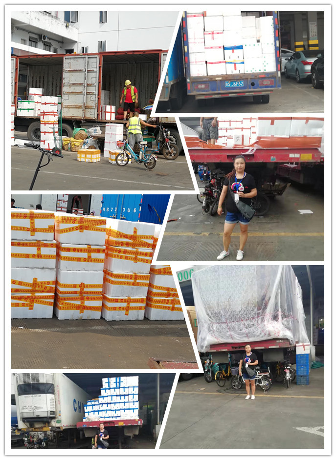 壹定发·(EDF)最新官方网站