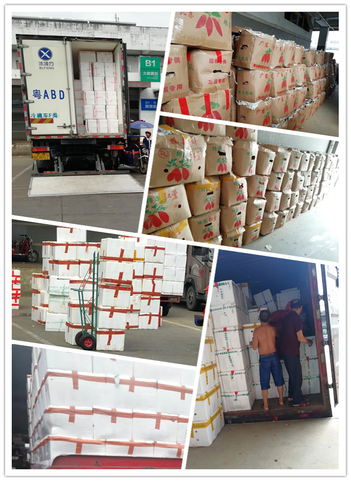 壹定发·(EDF)最新官方网站