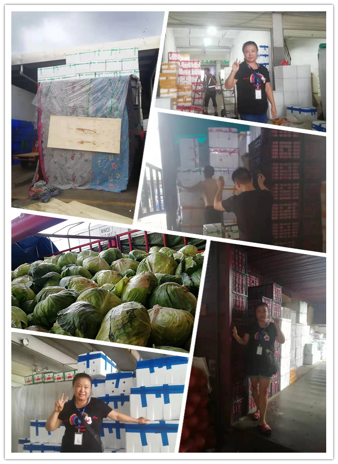 壹定发·(EDF)最新官方网站