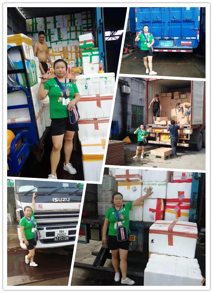 壹定发·(EDF)最新官方网站