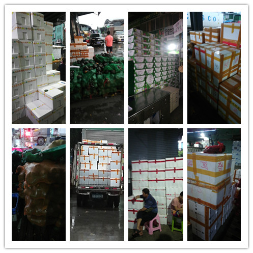 壹定发·(EDF)最新官方网站