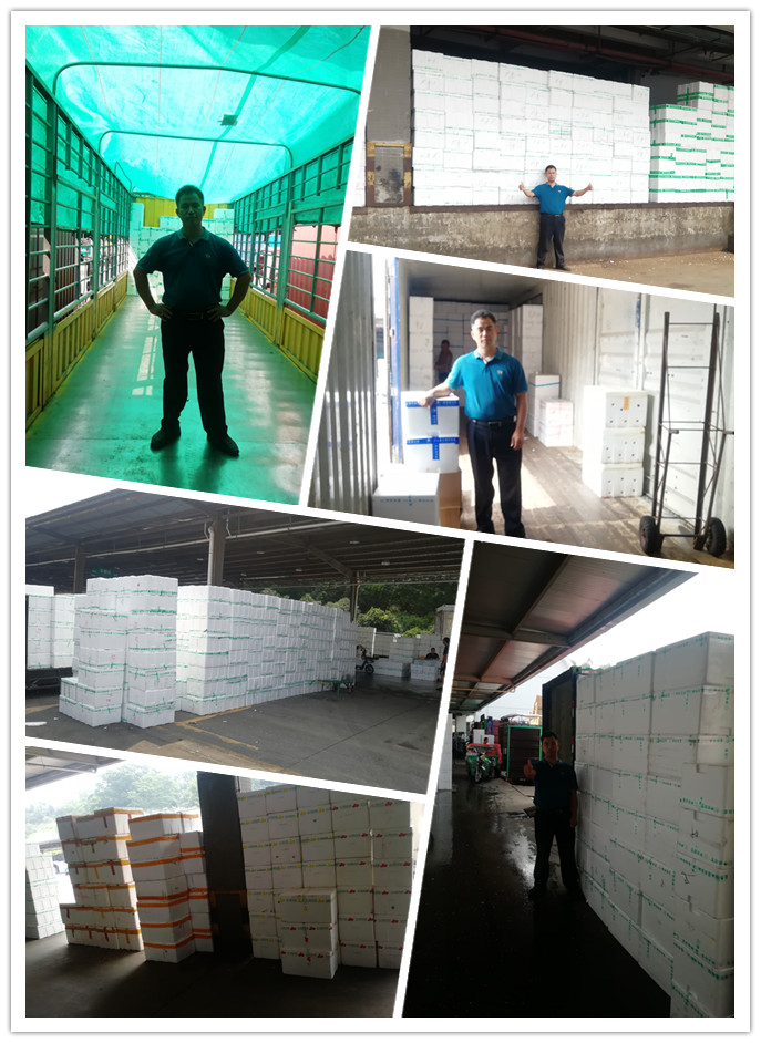 壹定发·(EDF)最新官方网站