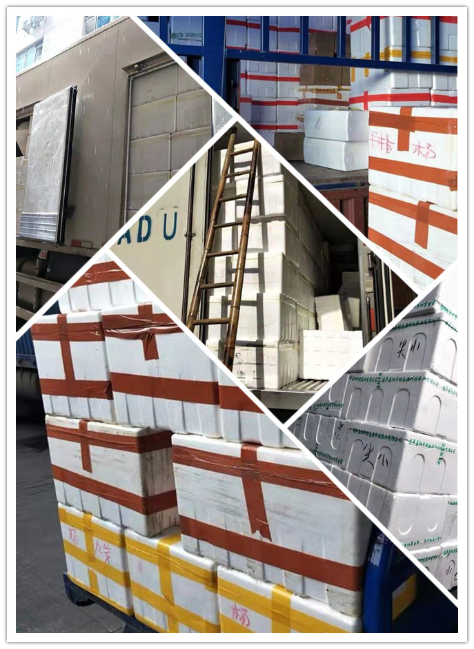 壹定发·(EDF)最新官方网站