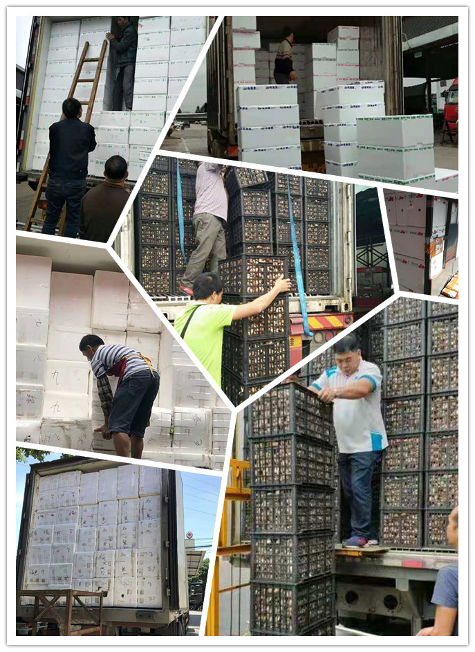 壹定发·(EDF)最新官方网站