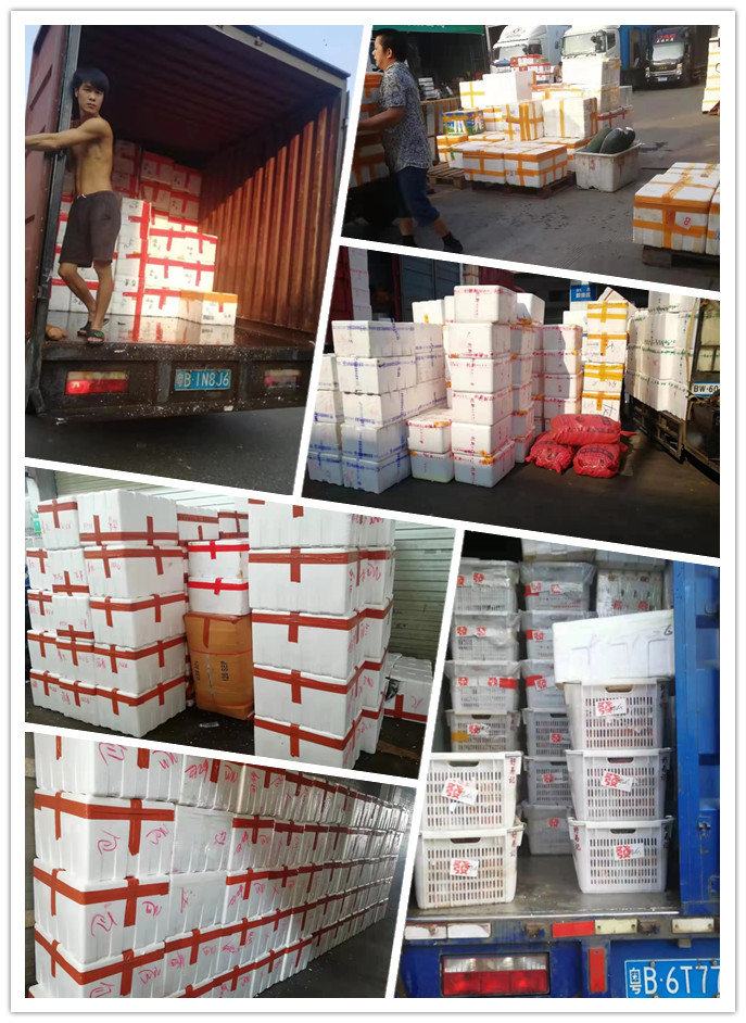 壹定发·(EDF)最新官方网站