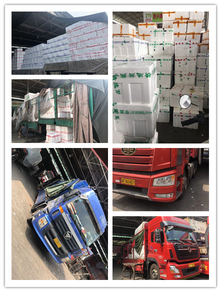 壹定发·(EDF)最新官方网站