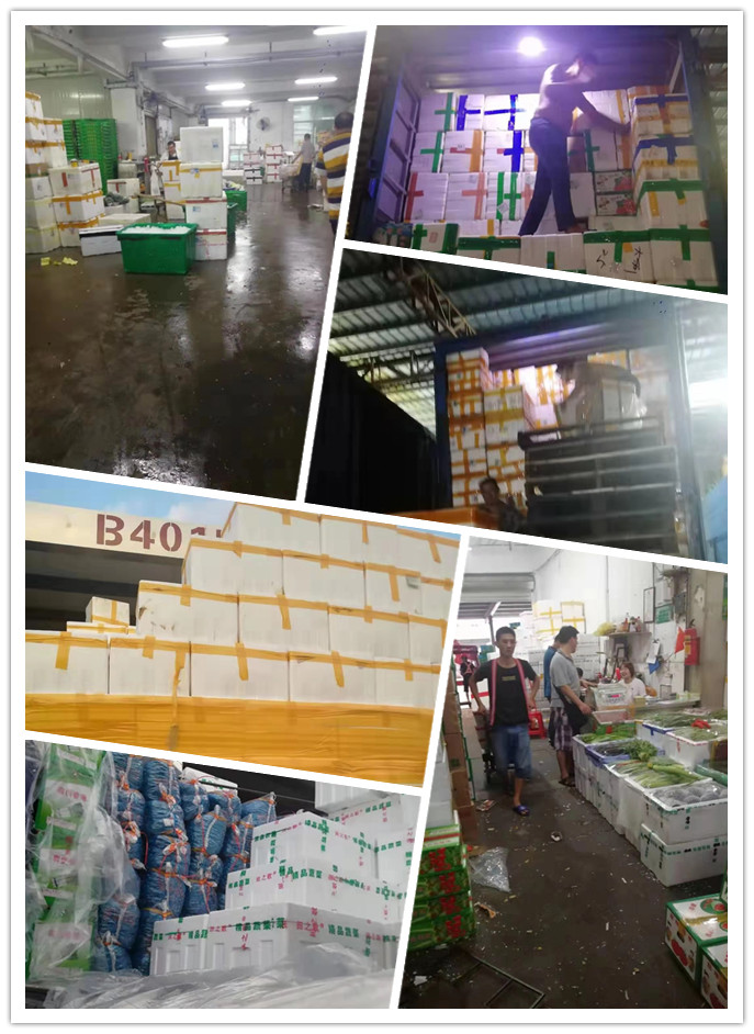 壹定发·(EDF)最新官方网站