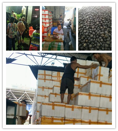 壹定发·(EDF)最新官方网站