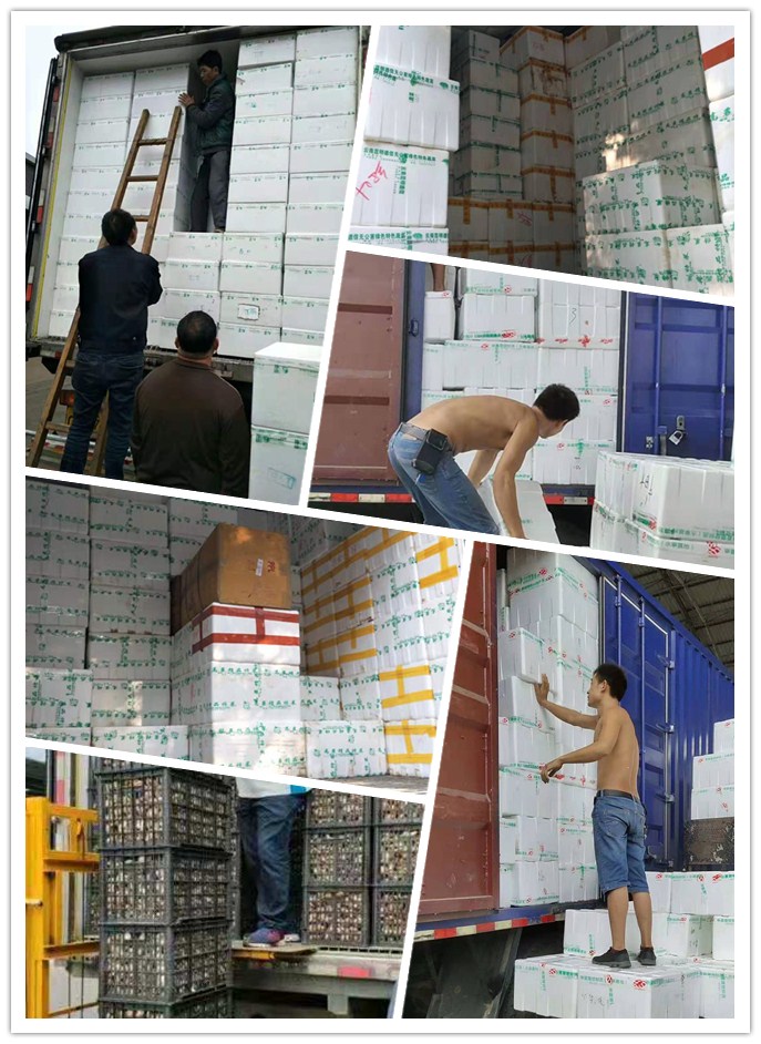 壹定发·(EDF)最新官方网站