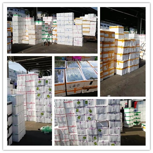 壹定发·(EDF)最新官方网站