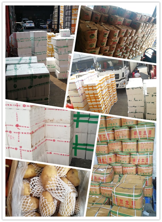 壹定发·(EDF)最新官方网站