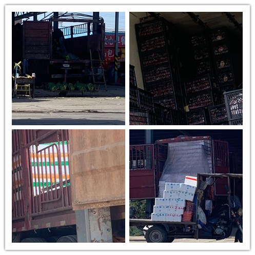 壹定发·(EDF)最新官方网站