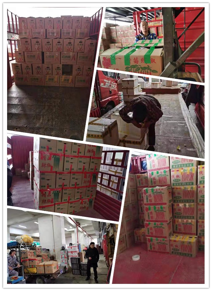 壹定发·(EDF)最新官方网站