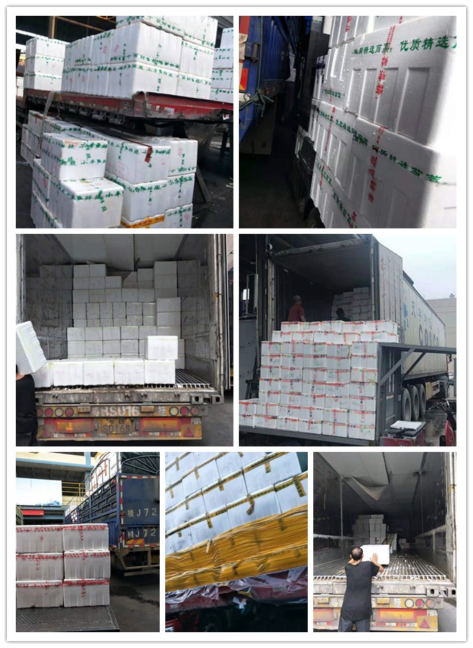 壹定发·(EDF)最新官方网站