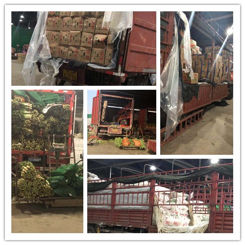 壹定发·(EDF)最新官方网站