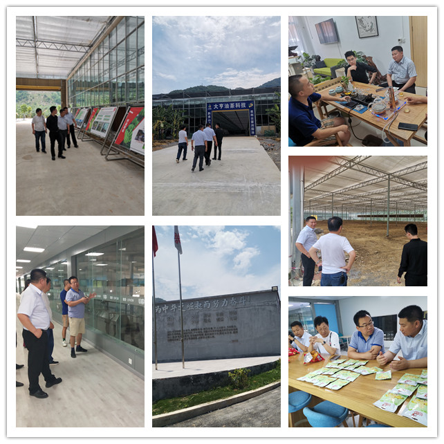 壹定发·(EDF)最新官方网站