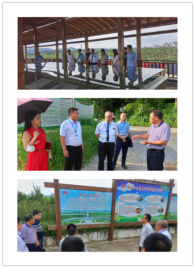 壹定发·(EDF)最新官方网站