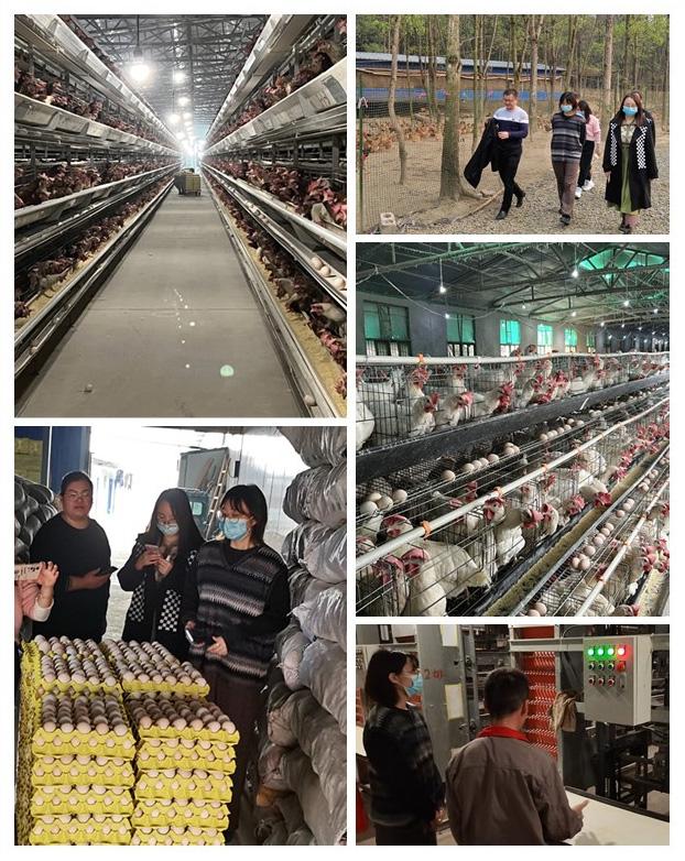 壹定发·(EDF)最新官方网站