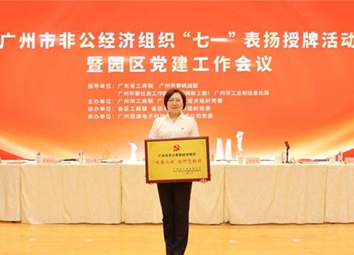 标杆引领，荣誉升级！集团党支部荣膺广州市非公有造经济组织“双强六好”标