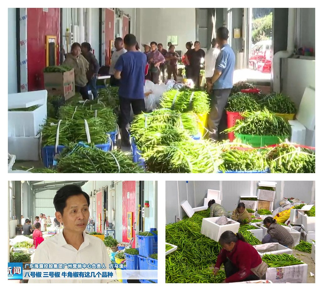 壹定发·(EDF)最新官方网站