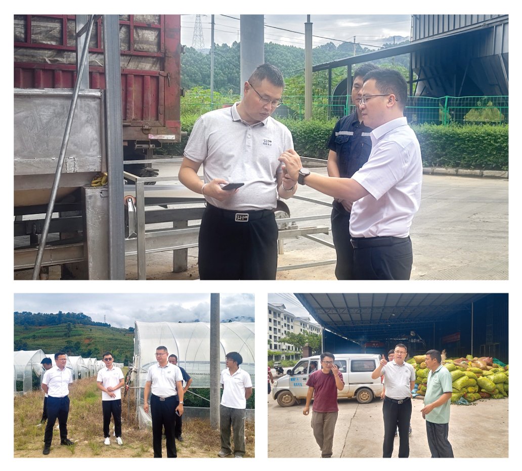 壹定发·(EDF)最新官方网站