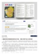 壹定发简报2025第101期